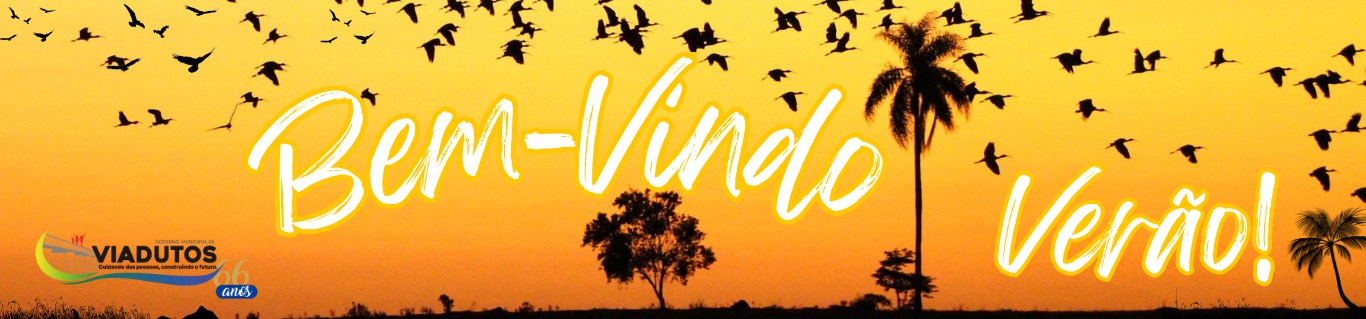 Imagem Slide: 85e61df44ab3a2155b3ee28c58f346e0.png