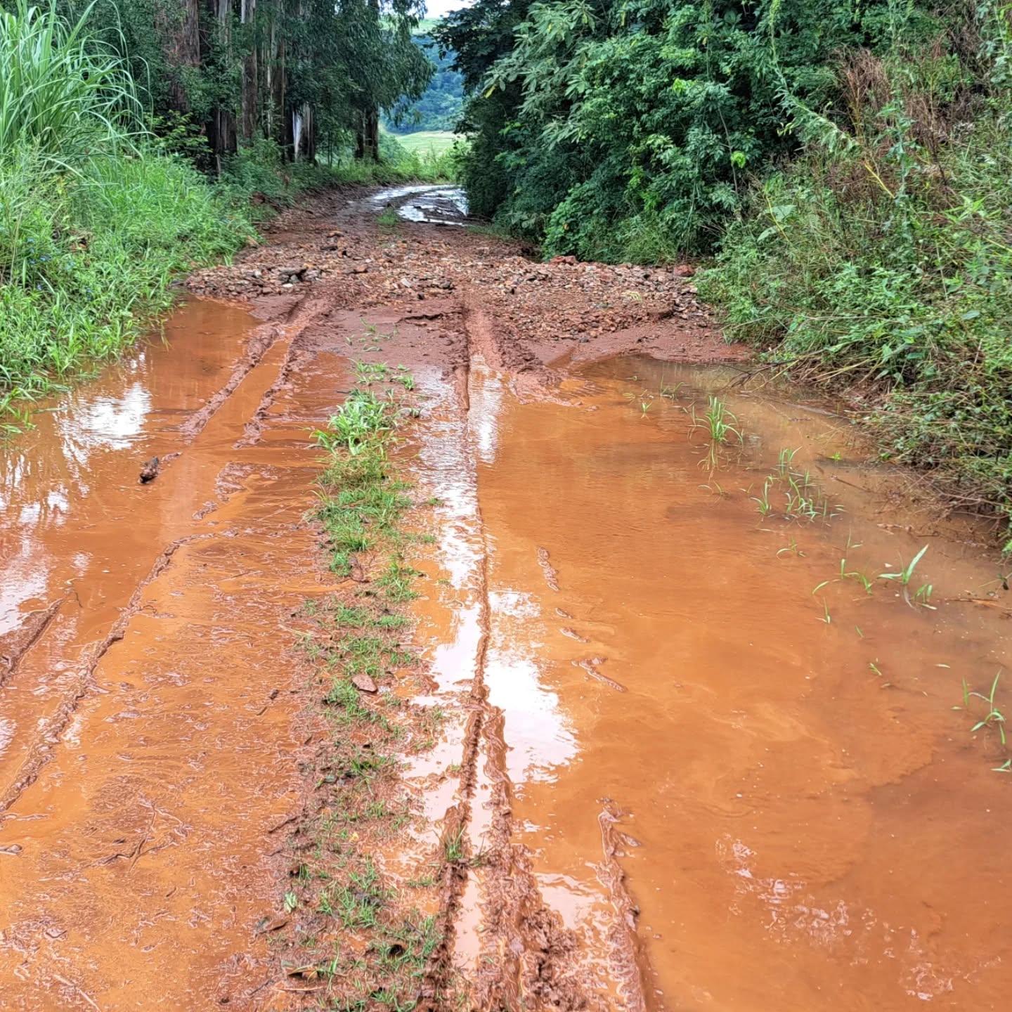Imagem Noticia: ATENÇÃO PRODUTORES RURAIS DE VIADUTOS!