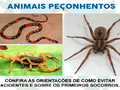 Gallery small f97a5cad55498254a5ff7804b78a8c8e