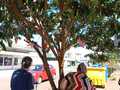Gallery small 590f53184c4c60a24045381dadf65a99