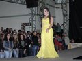 Gallery small 0f5371842d70339b305c4476539431ff