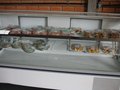 Gallery small 8b8fb8828dd83fe65c834b615662f136