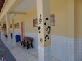 Gallery small 1192b047c59702335ce609dc5a3125d2